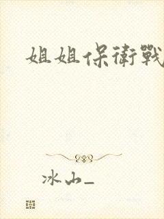 姐姐保卫战封面