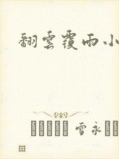 翻云覆雨小说封面