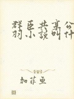 群臣共享公主银羽小说叫什么