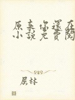 原来你还在这里小说免费阅读