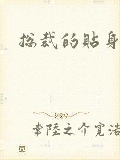 总裁的贴身女佣封面