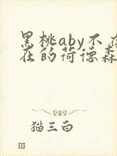 黑桃aby不存在的荷德森笔趣阁封面