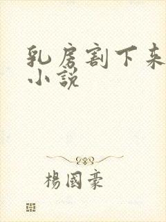 乳房割下来玩弄小说封面