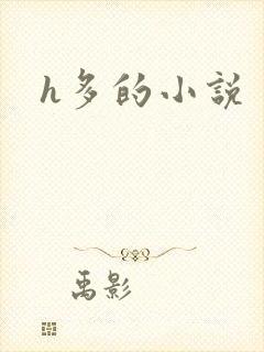 h多的小说