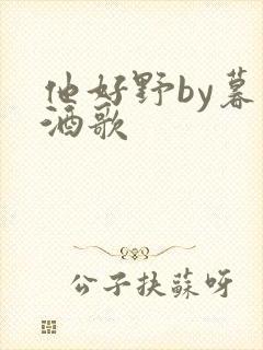 他好野by暮色酒歌