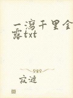 一泻千里金银花露txt