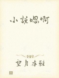 小说嗯啊