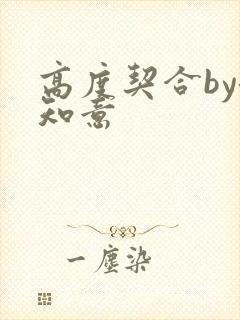 高度契合by洛知意封面