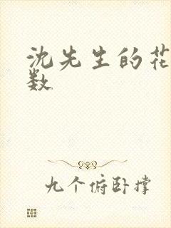 沈先生的花式调数