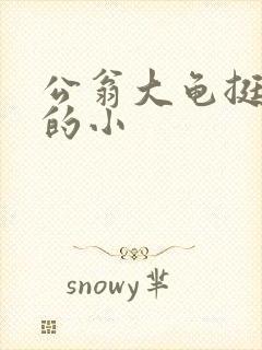 公翁大龟挺进我的小