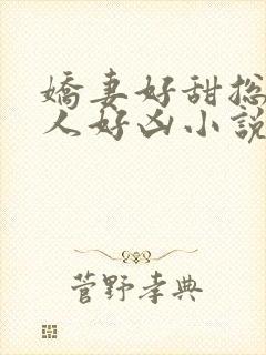 娇妻好甜总裁大人好凶小说全文阅读