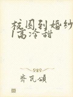 校园到婚纱1V1高冷甜