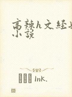 高辣h文经典乱小说