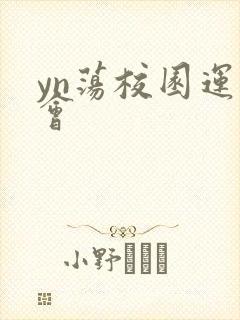 yn荡校园运动会封面