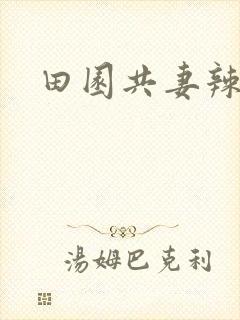 田园共妻辣封面