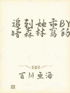 追到她乖BY黑暗森林写的小说