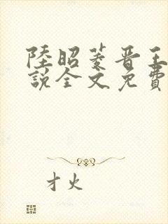 陆昭菱晋王的小说全文免费阅读封面