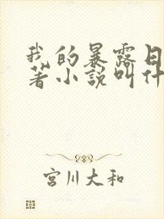 我的暴露日记原著小说叫什么封面