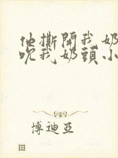 他撕开我奶罩揉吮我奶头小说