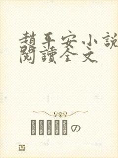 赵平安小说免费阅读全文封面