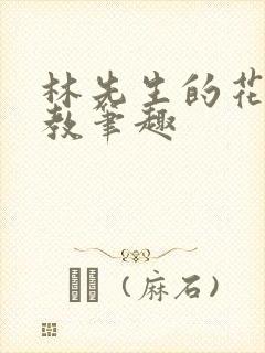 林先生的花式管教笔趣