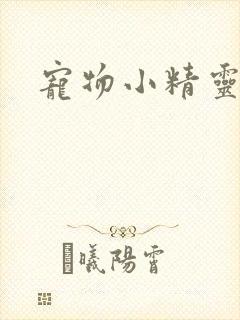 宠物小精灵漫画