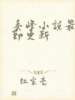 秦峰小说最新章节更新