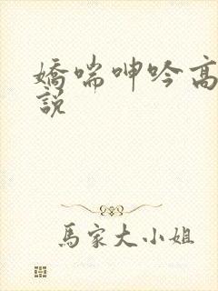 娇喘呻吟高潮小说封面