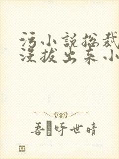 污小说总裁整夜没拔出来小说在线阅读封面