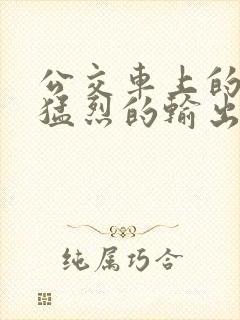 公交车上的诗请猛烈的输出阅读