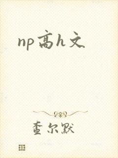 np高h文封面