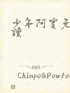 少年阿宾免费阅读