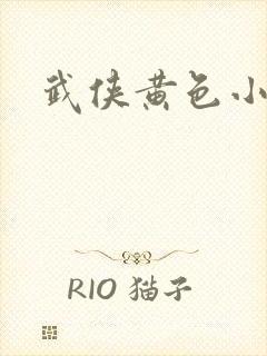 武侠黄色小说封面