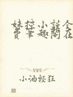 妹控小说全文免费笔趣阁在线阅读