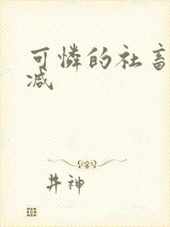 可怜的社畜无删减