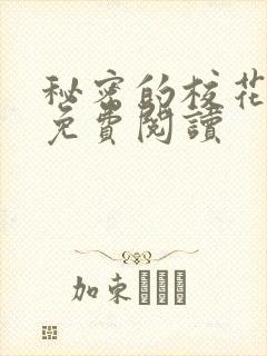 秘密的校花小说免费阅读