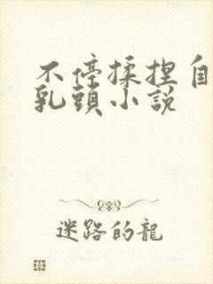 不停揉捏自己的乳头小说