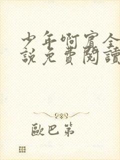 少年啊宾全文小说免费阅读笔趣阁