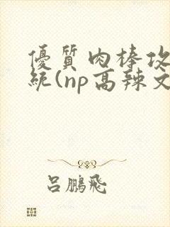 优质肉棒攻略系统(np高辣文)