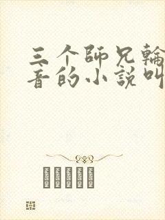三个师兄轮流上音的小说叫什么