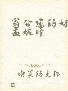 翁公您的好长呀孟婉晴封面