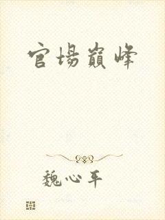 官场巅峰