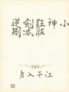 逆剑狂神小说无删减版