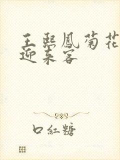 王熙凤菊花门初迎来客封面