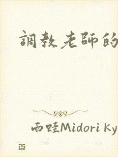 调教老师的小说封面