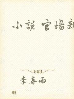 小说 官场新贵