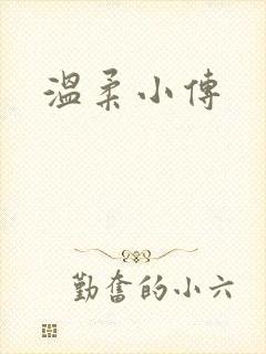 温柔小传