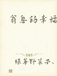 翁息的幸福封面