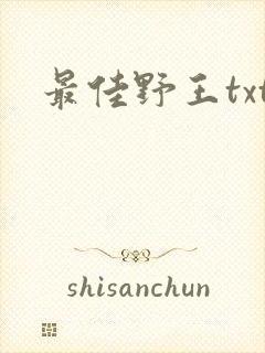 最佳野王txt
