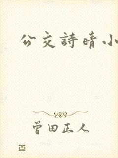 公交诗晴小说